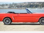 Thumbnail Photo 62 for New 1964 Ford Mustang